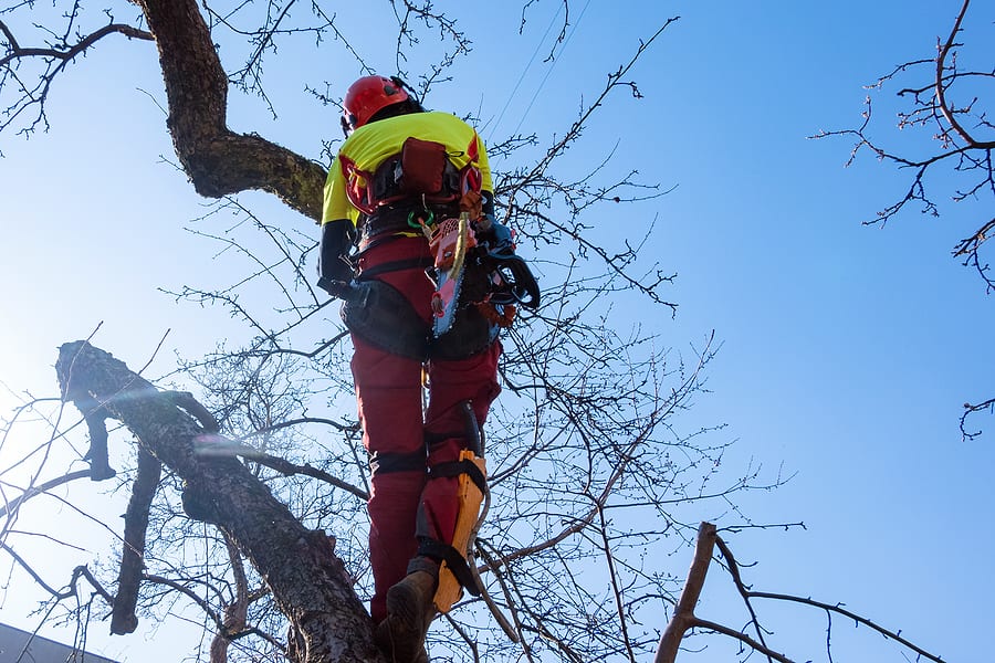Complete Tree Service of St. Louis